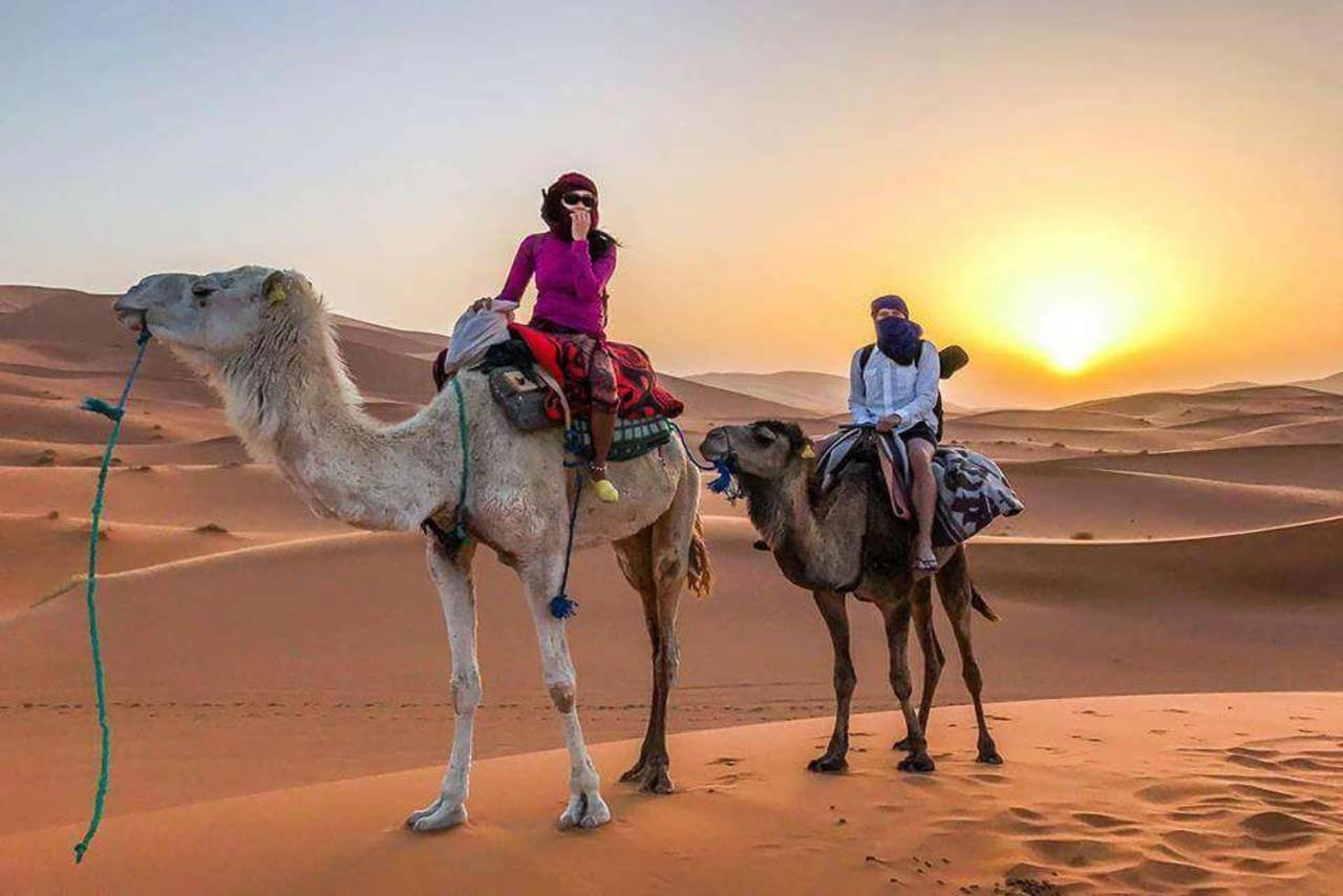 Camp Sahara Dunes Ξενοδοχείο M'Hamid Εξωτερικό φωτογραφία