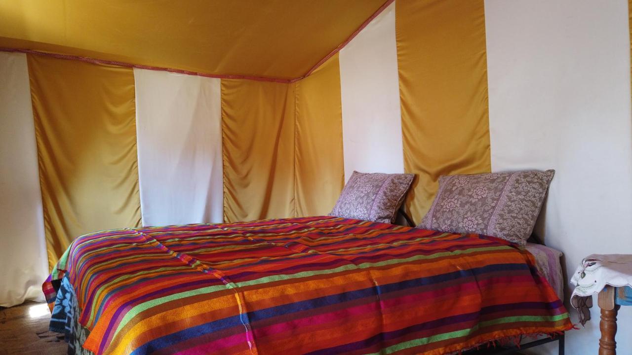 Camp Sahara Dunes Ξενοδοχείο M'Hamid Εξωτερικό φωτογραφία